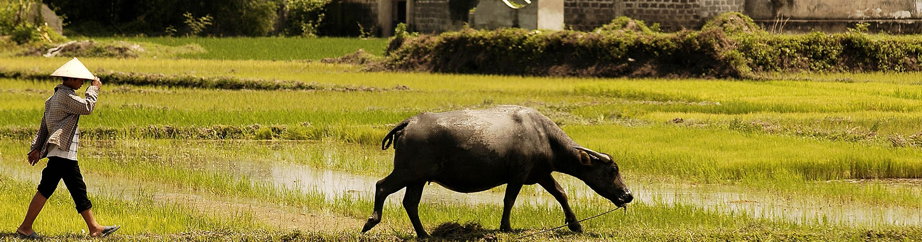 Expedição Sapa