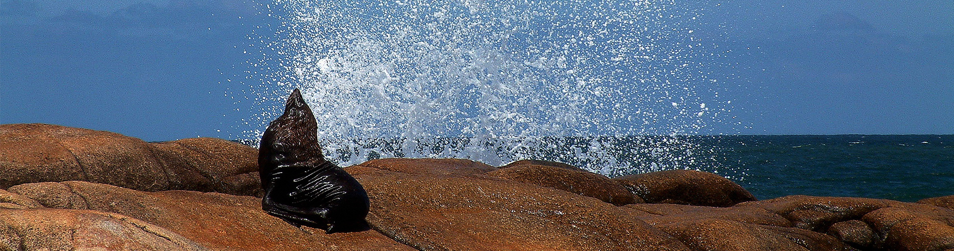 O Litoral Uruguaio