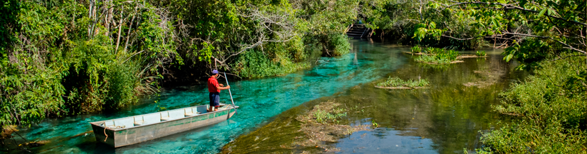 As belezas do Centro -Oeste : Pantanal e Bonito