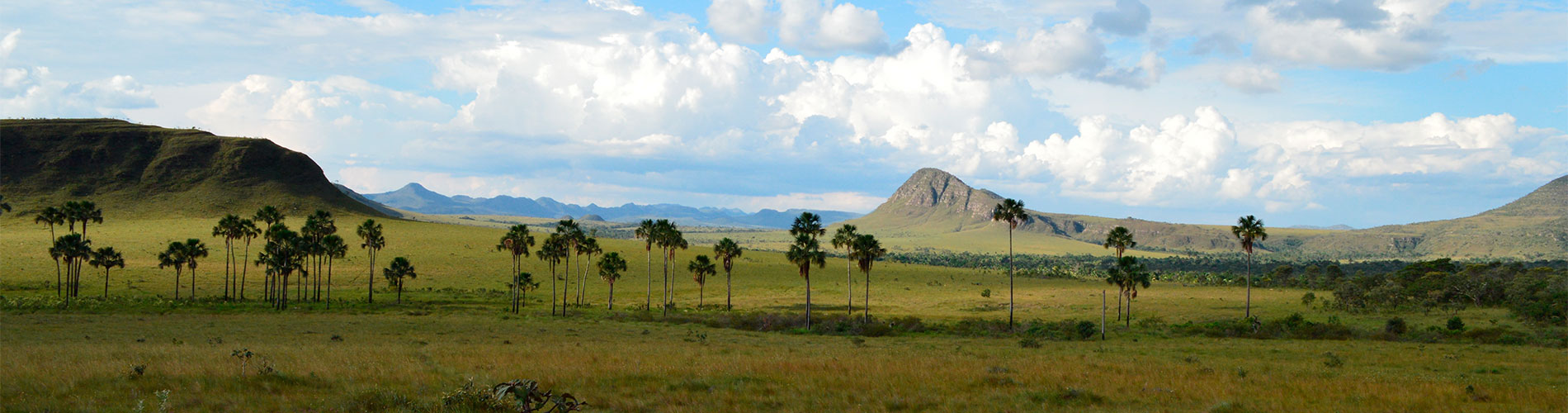 O Essencial da Chapada dos Veadeiros