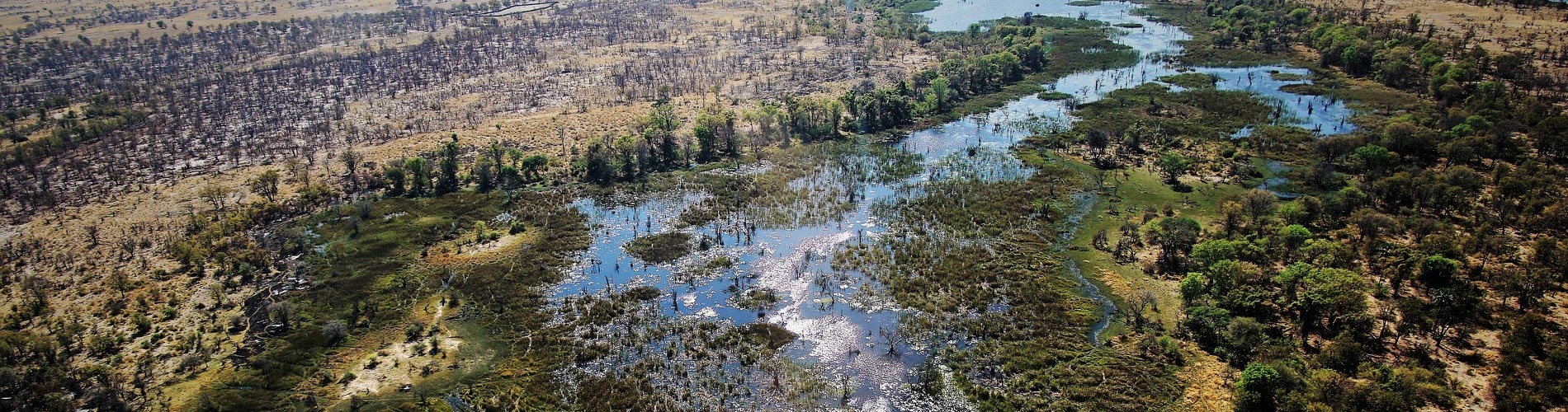 Tesouros de Botswana