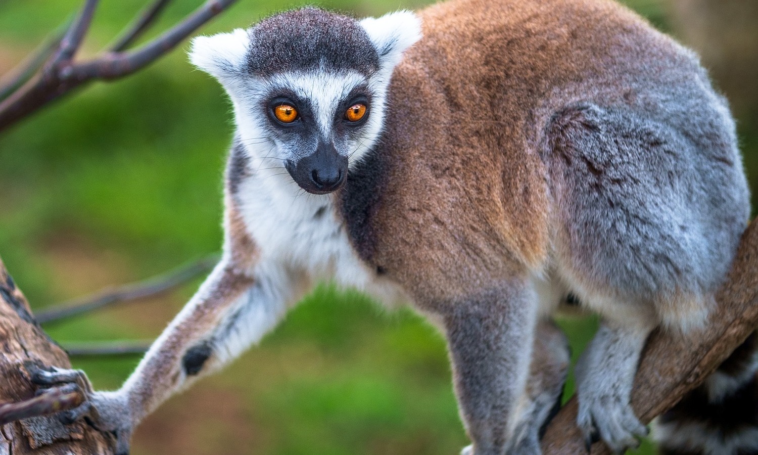 Parques Nacionais de Madagascar